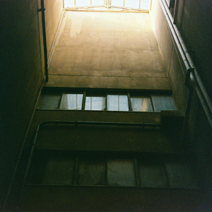 非洲性❌❌❌❌狂欢
