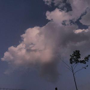 非洲性❌❌❌❌狂欢
