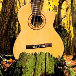 非洲性❌❌❌❌狂欢
